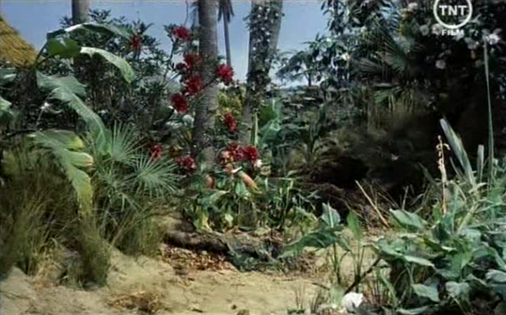 The Little Hut - Die kleine Hutte (1957)_TVRip_[Vozmojno nemetscaya prokatnaya copia]_.avi_snapshot_00.45.33.720.png