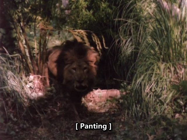 Beastmaster III - The Eye.Of Braxus (1996)_Web-DlRip-AVC_ .mkv_snapshot_00.40.30.139.png