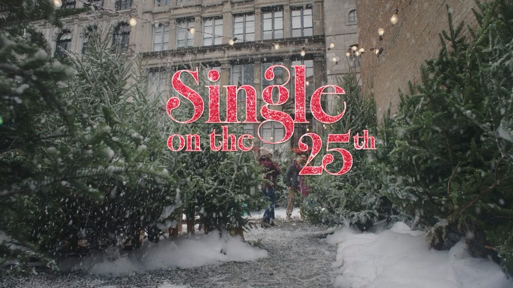 Одна на рождество (2025) WEB-DLRip-AVC_ivanes.mkv_snapshot_00.01.20.171.png