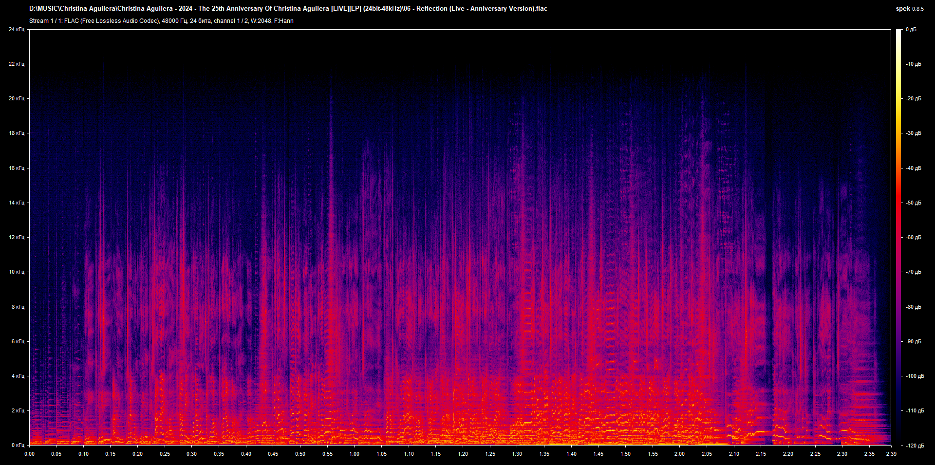 06 - Reflection (Live - Anniversary Version).flac.png