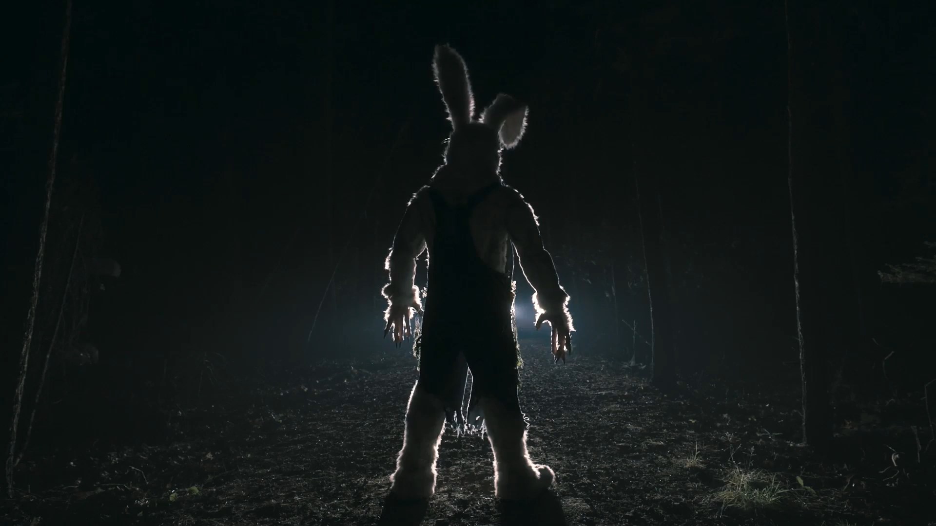 Bad Bunny 2025.mkv_snapshot_00.21.36.000.jpg