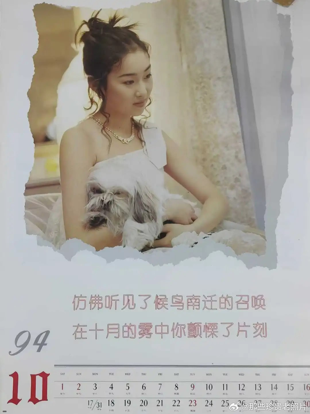 1994??????202601034.jpg