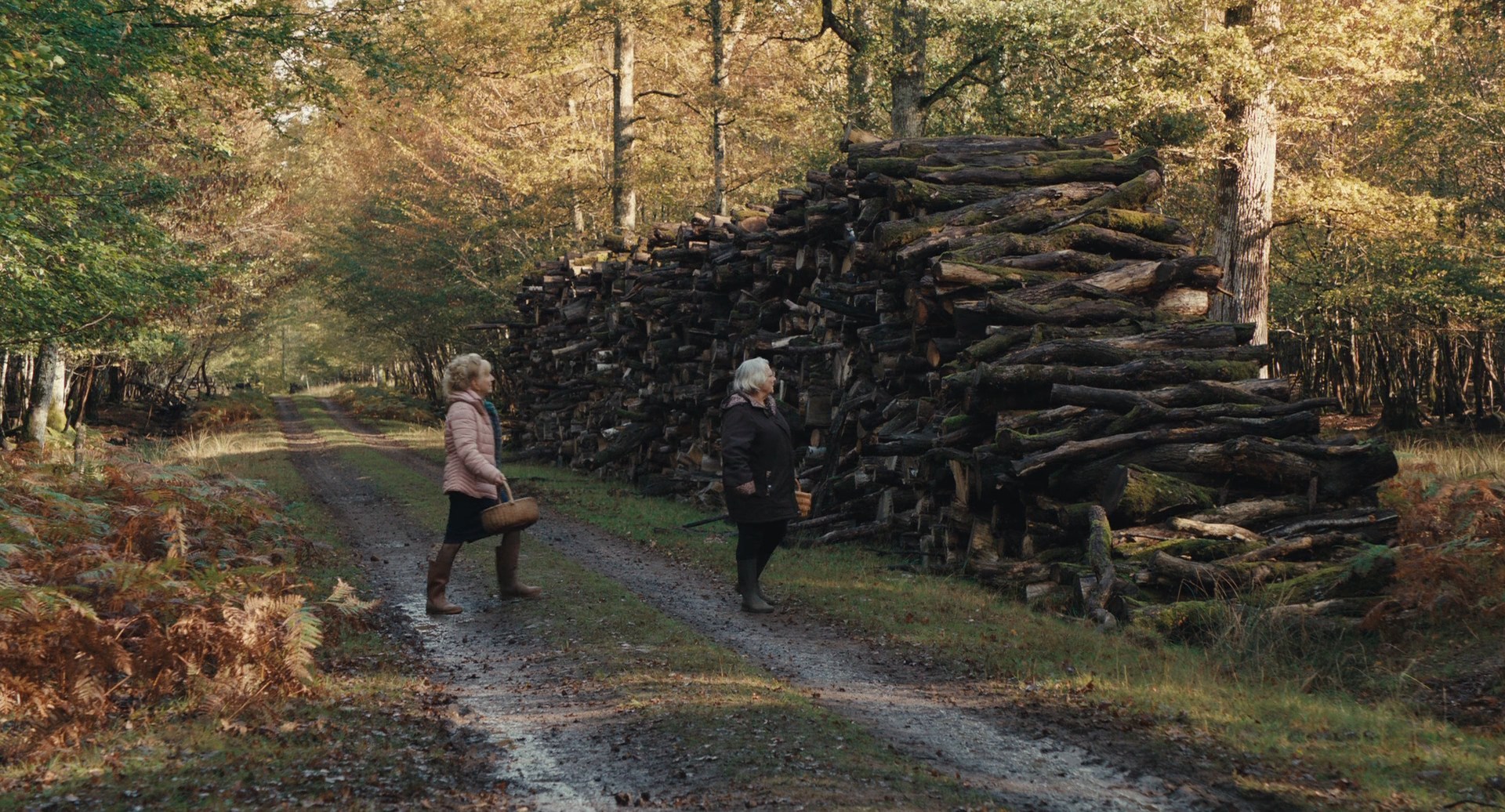 Quand.Vient.L.Automne.2024.1080p.BluRay.DD.5.1.x264-MegaPeer.mkv_snapshot_00.09.33.334.jpg