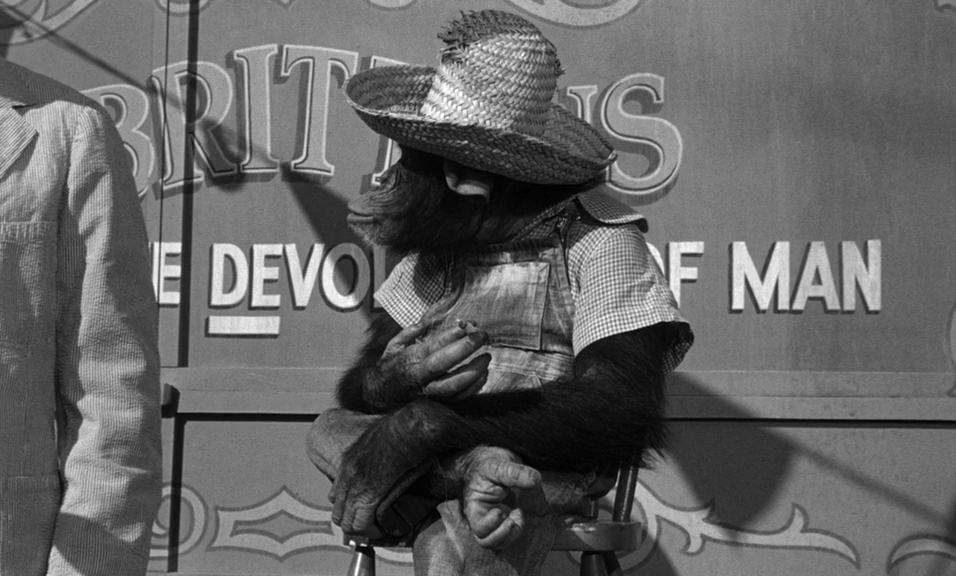 Пожнёшь бурю.1960.BDRip AVC msltel.mkv_snapshot_00.26.32.695.jpg