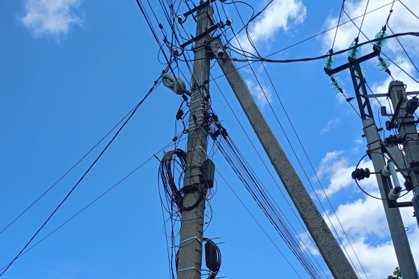 «Россети Ленэнерго» выявили 1 100 км нелегальных ВОЛС