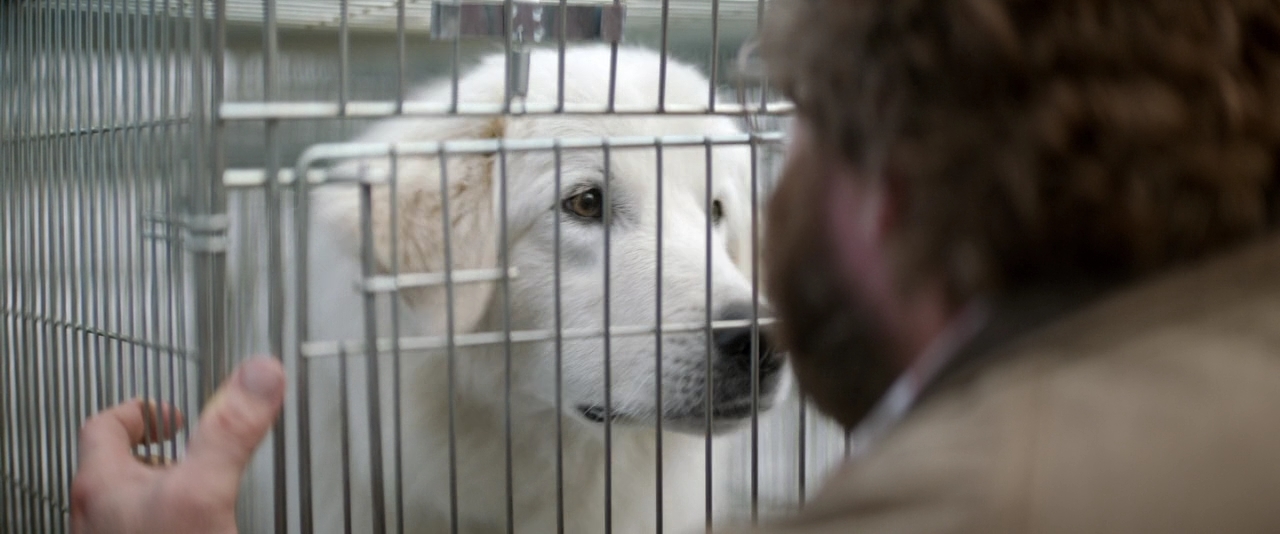 По кличке Чудак.2015.BDRip 720p msltel.mkv_snapshot_01.08.33.065.jpg