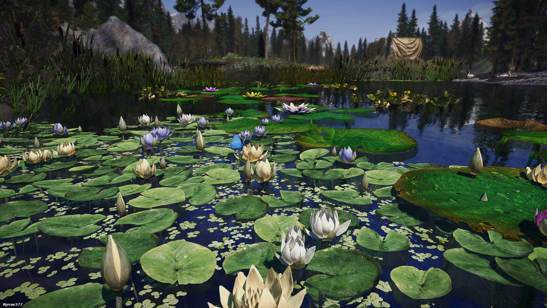 The Elder Scrolls V  Skyrim Special Edition Screenshot 2026.01.31 - 19.29.05.71.png