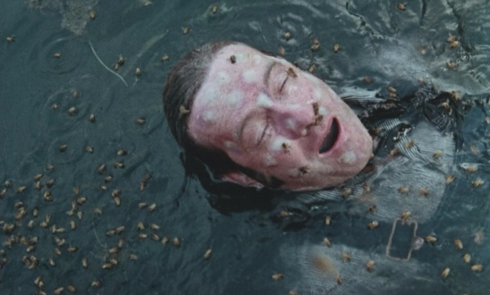 Дикие пчёлы.1976.BDRip AVC msltel.mkv_snapshot_00.30.29.368.jpg