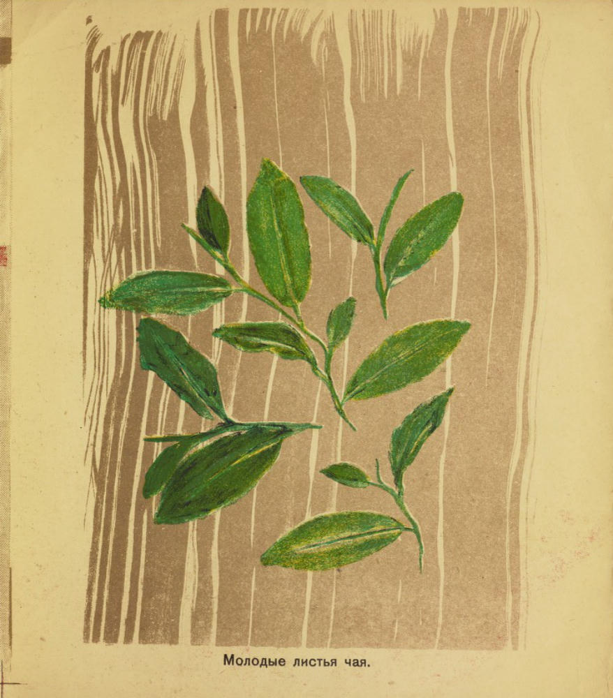 Штеренберг Д. - Чай - 1931_pic5.jpg