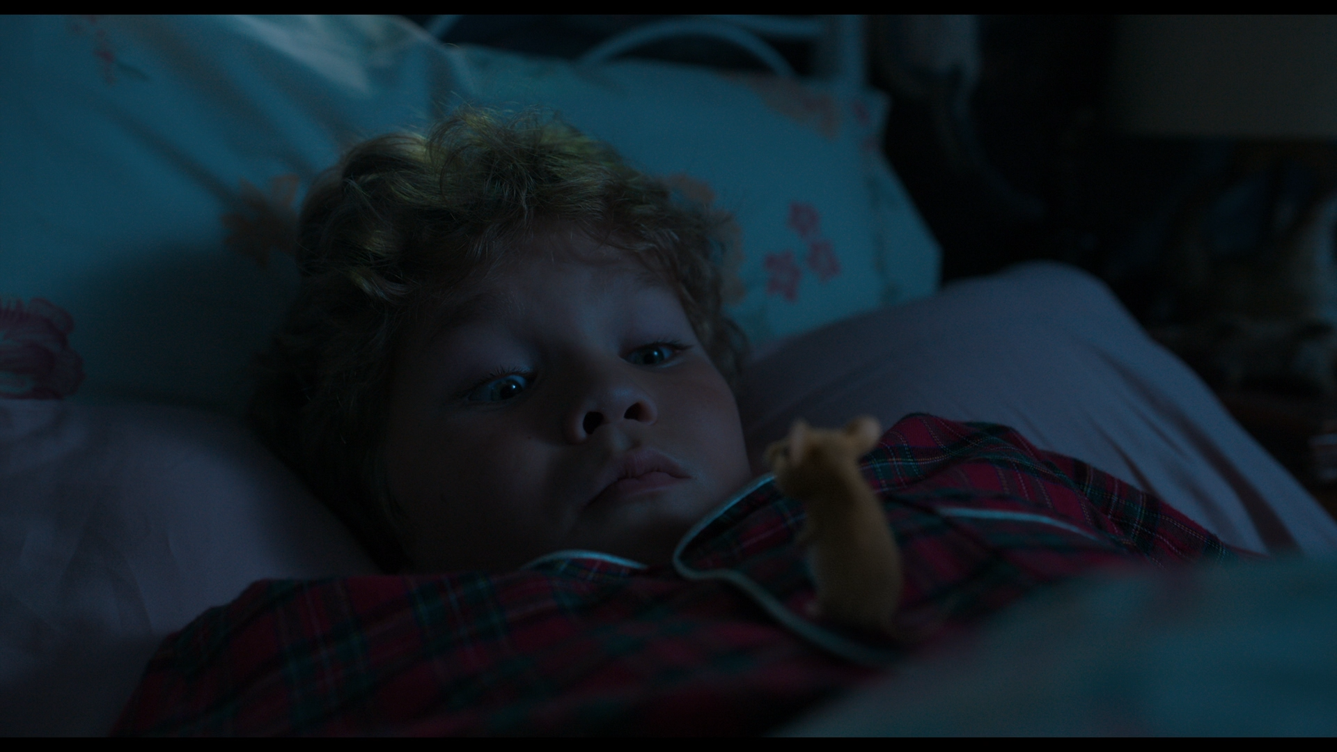 A Mouse Hunt for Christmas 2025 BDRemux 1080p.mkv_snapshot_00.22.13.png