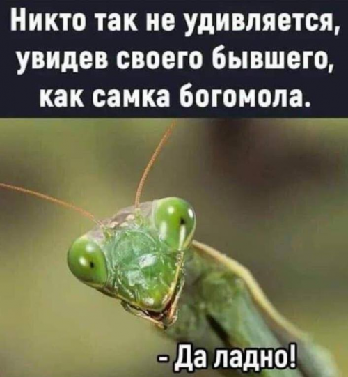 изображение_2026-02-16_014318918.png
