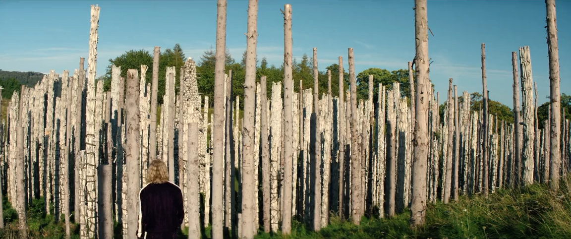 28 лет спустя. Часть II. Храм костей (2026) WEB-DLRip-AVC_ivanes.mkv_20260218_130120.238.png