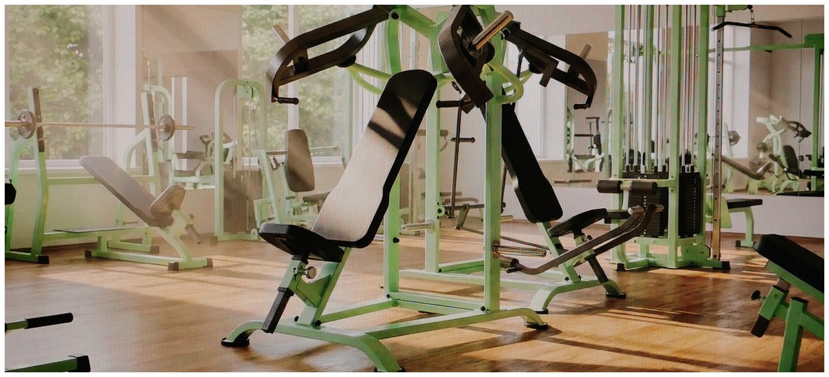 спорт тренажеры завода Алфодим