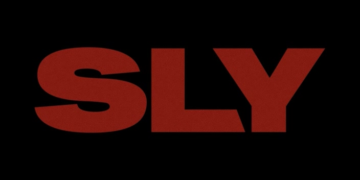 Sly.2023.WEBDLRip-ylnian.avi_snapshot_00.00.00.557.png