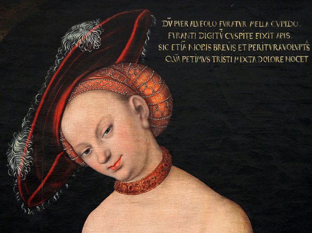 13Lucas Cranach the Elder (1472-1553), Venus and Cupid, 1531,.jpg