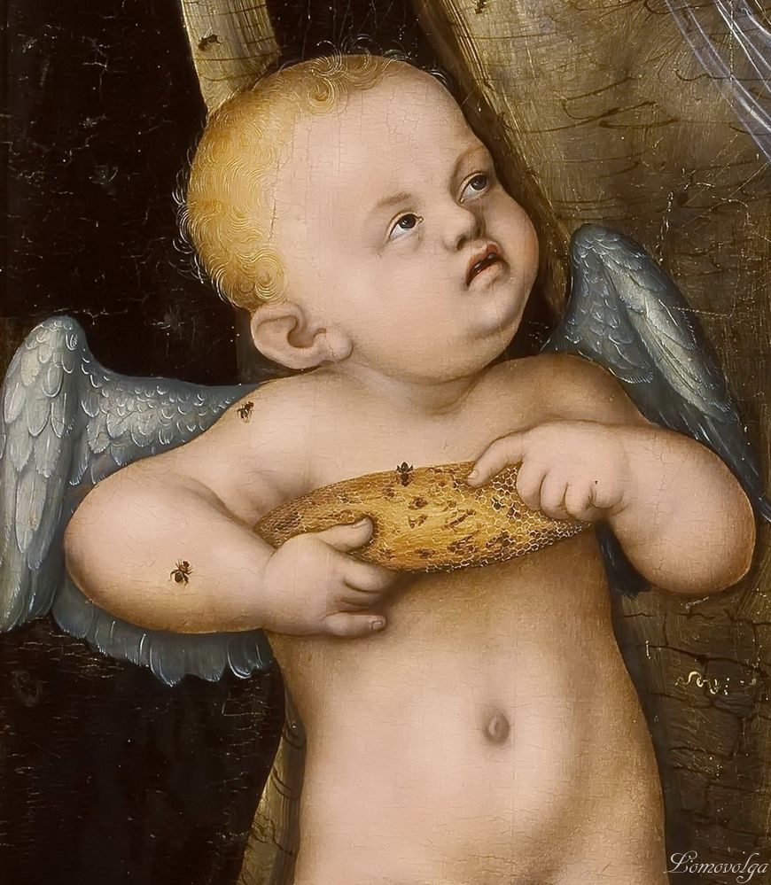 43Венера и Купидон, крадущие мед1.jpg