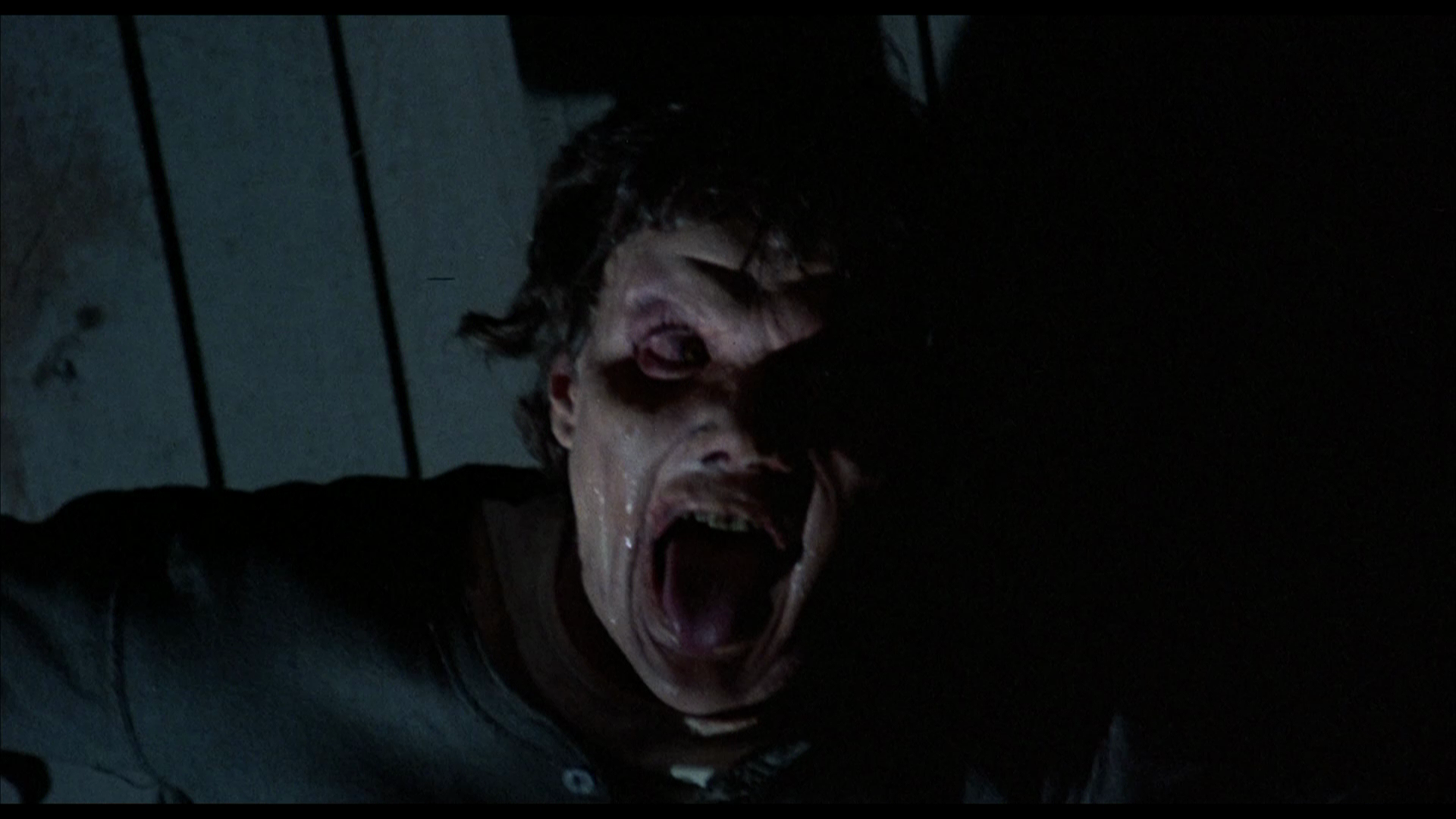 Amityville.II_The.Possession.1982.Shout.Factory.BDRemux.1080p.mkv_20260226_091751.268.png