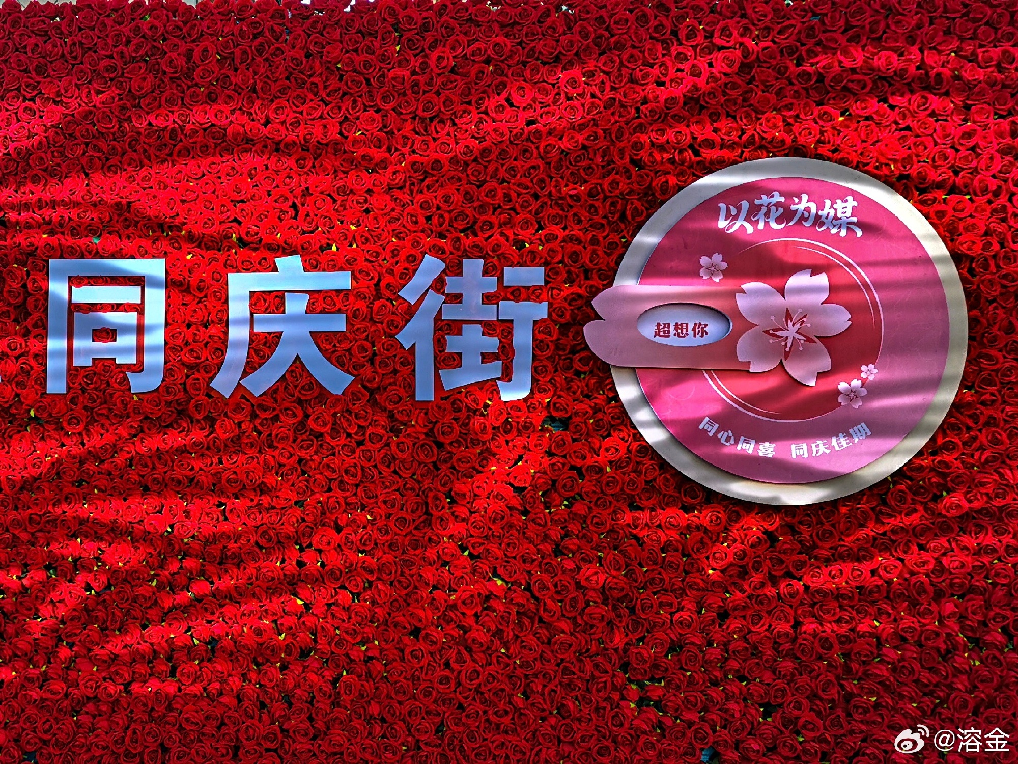 539e734aly1ia51fhstutj21q81aox6p.jpg