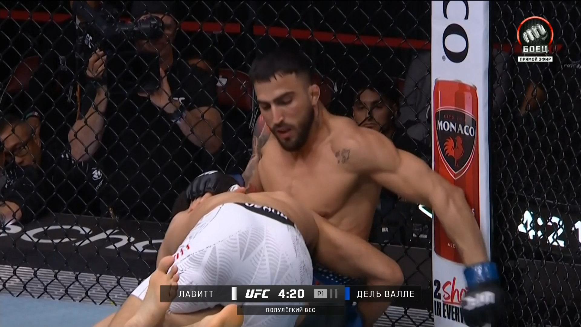 UFC Fight Night 267 Strickland vs Hernandez.mkv_snapshot_00.31.39.220.png