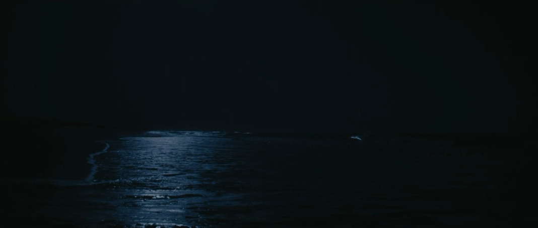 Кит-убийца (2026) WEB-DLRip-AVC_ivanes.mkv_20260321_150148.031.png