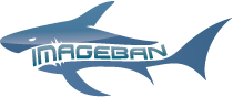 logo.png