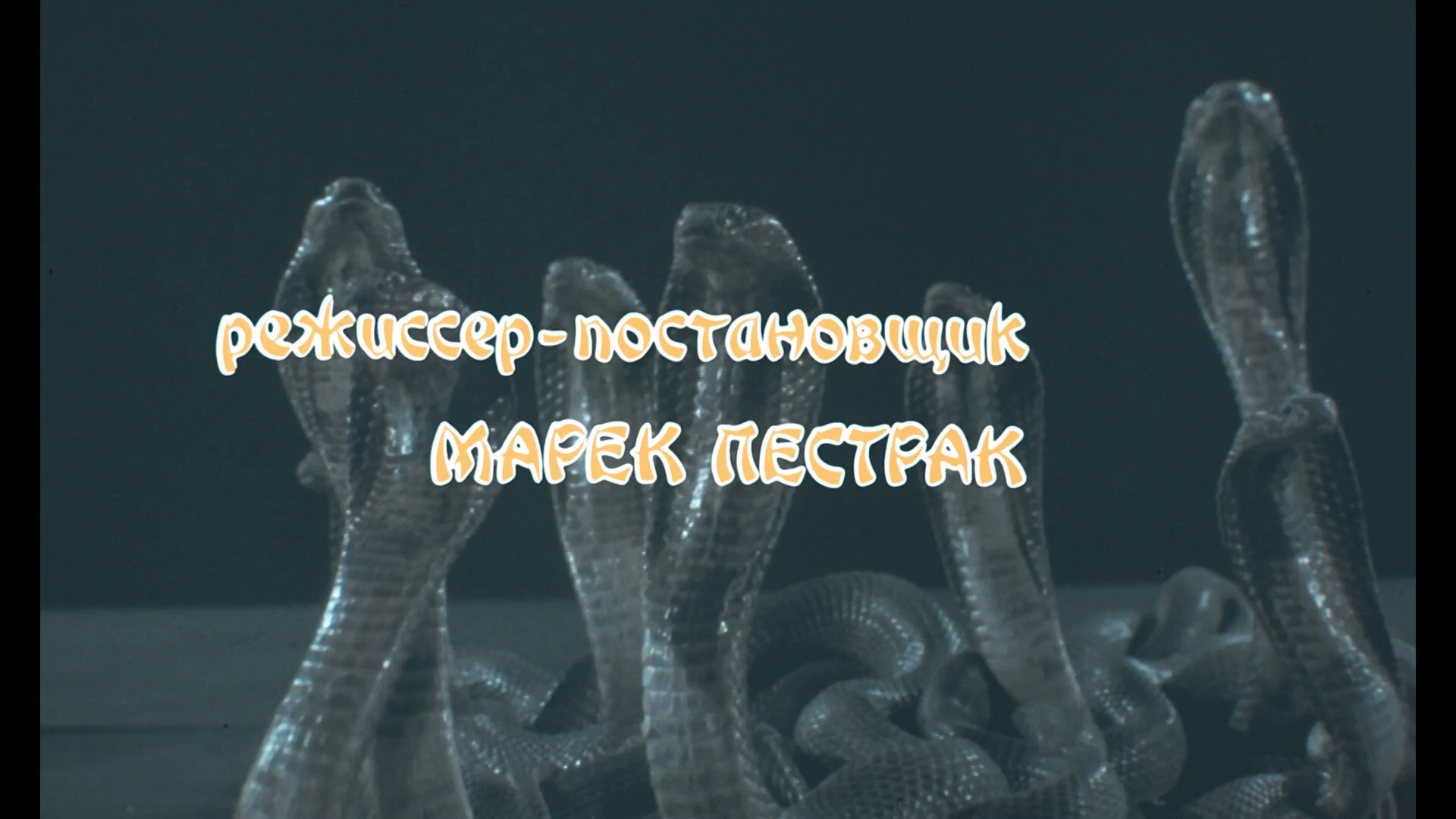 Заклятие долины змей 1987 WEB-DL 1080p.mkv_snapshot_00.06.30.png