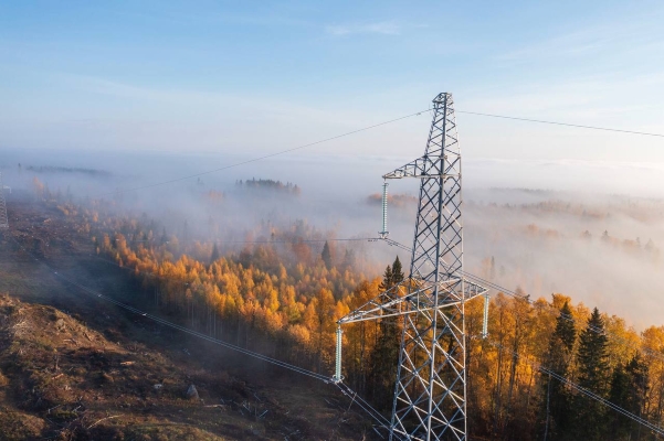 Цены на РСВ в марте 2026 года остались стабильными на фоне потепления