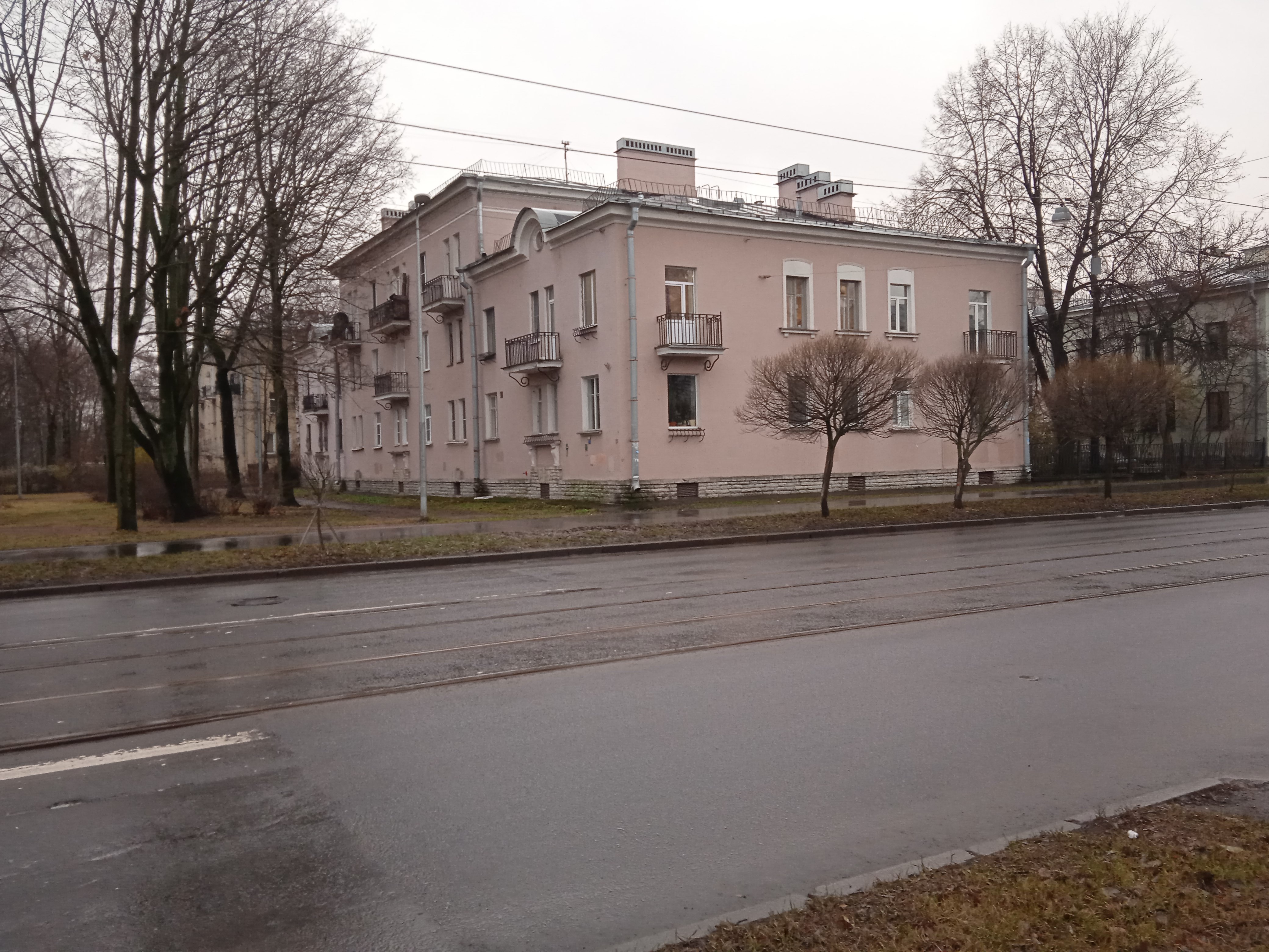 Савушкина 66_1.JPG