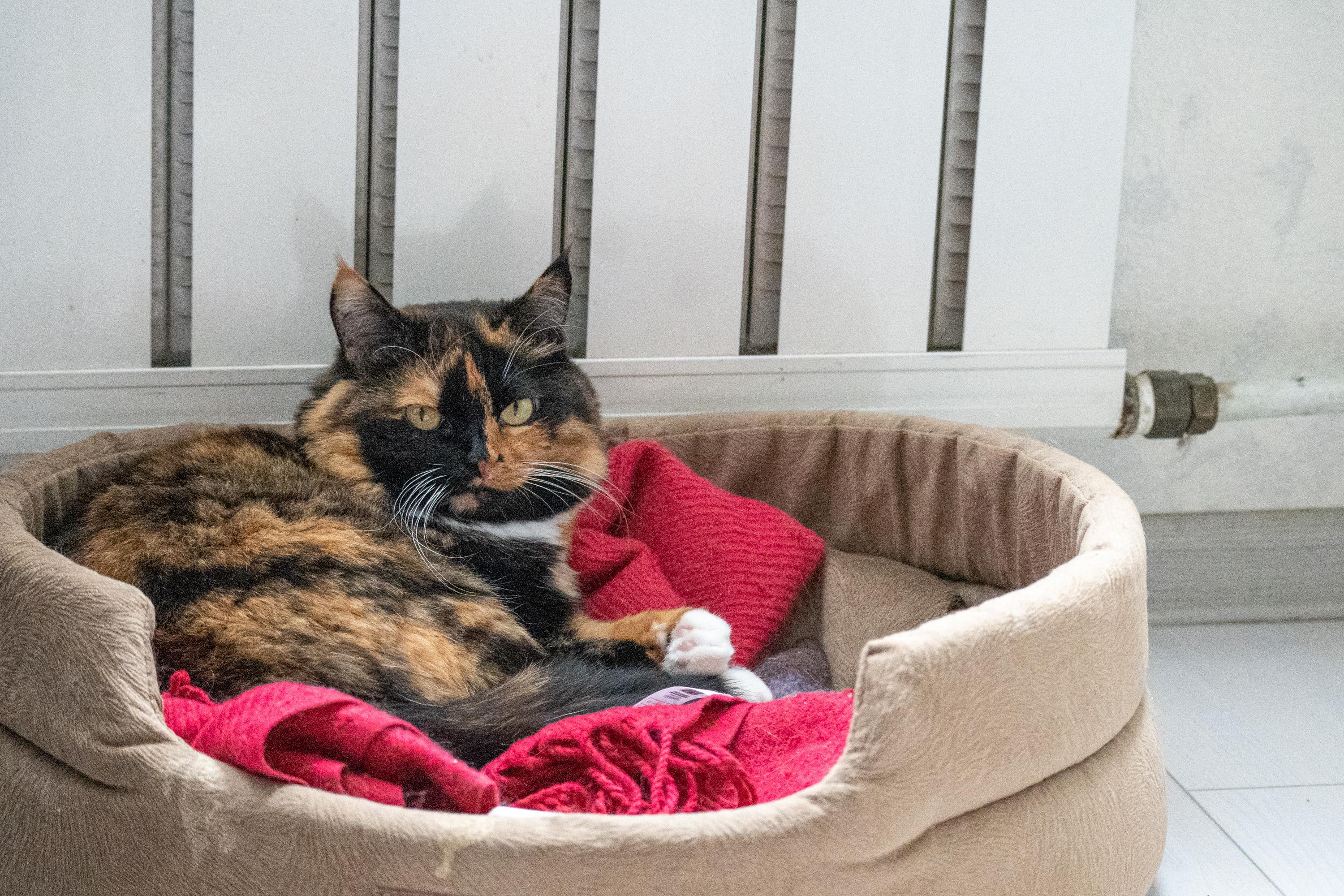 Оплата тепла в мае: кто из пермяков сэкономит, а кому придет полный счет