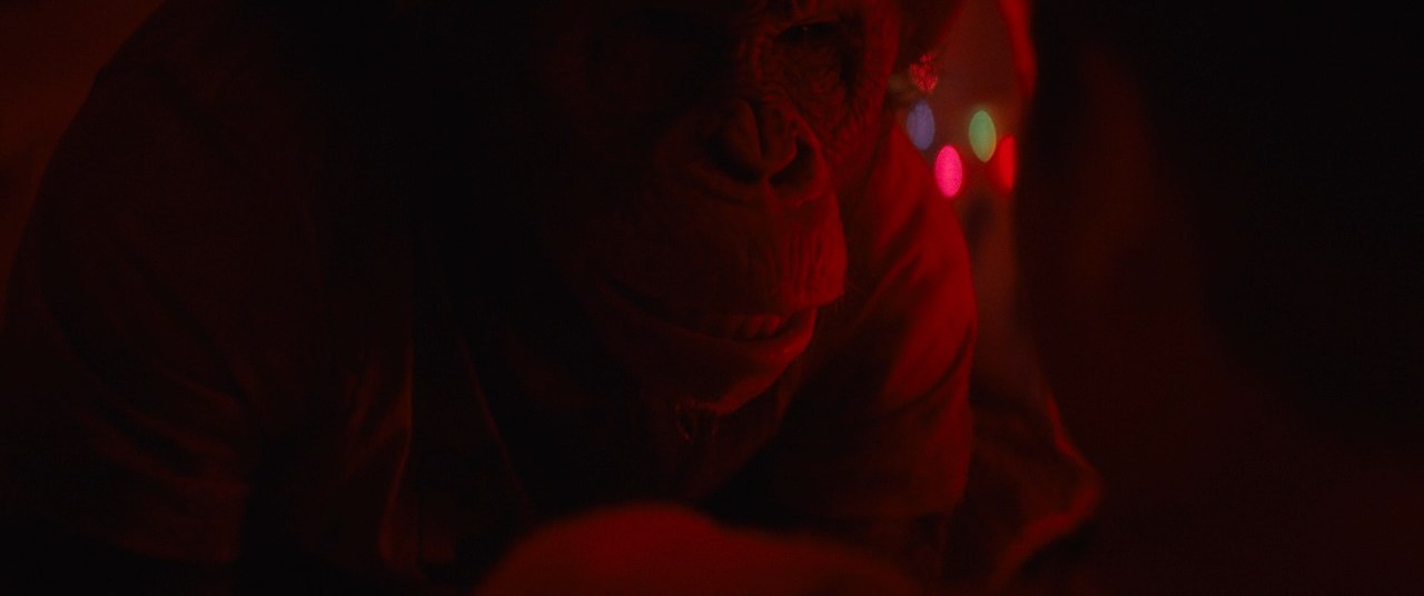 Primate.2025.720p.BluRay.DD.5.1.x264-MegaPeer.mkv_snapshot_01.04.01.707.jpg