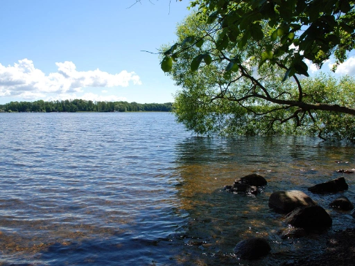 Аватар участника Водяной