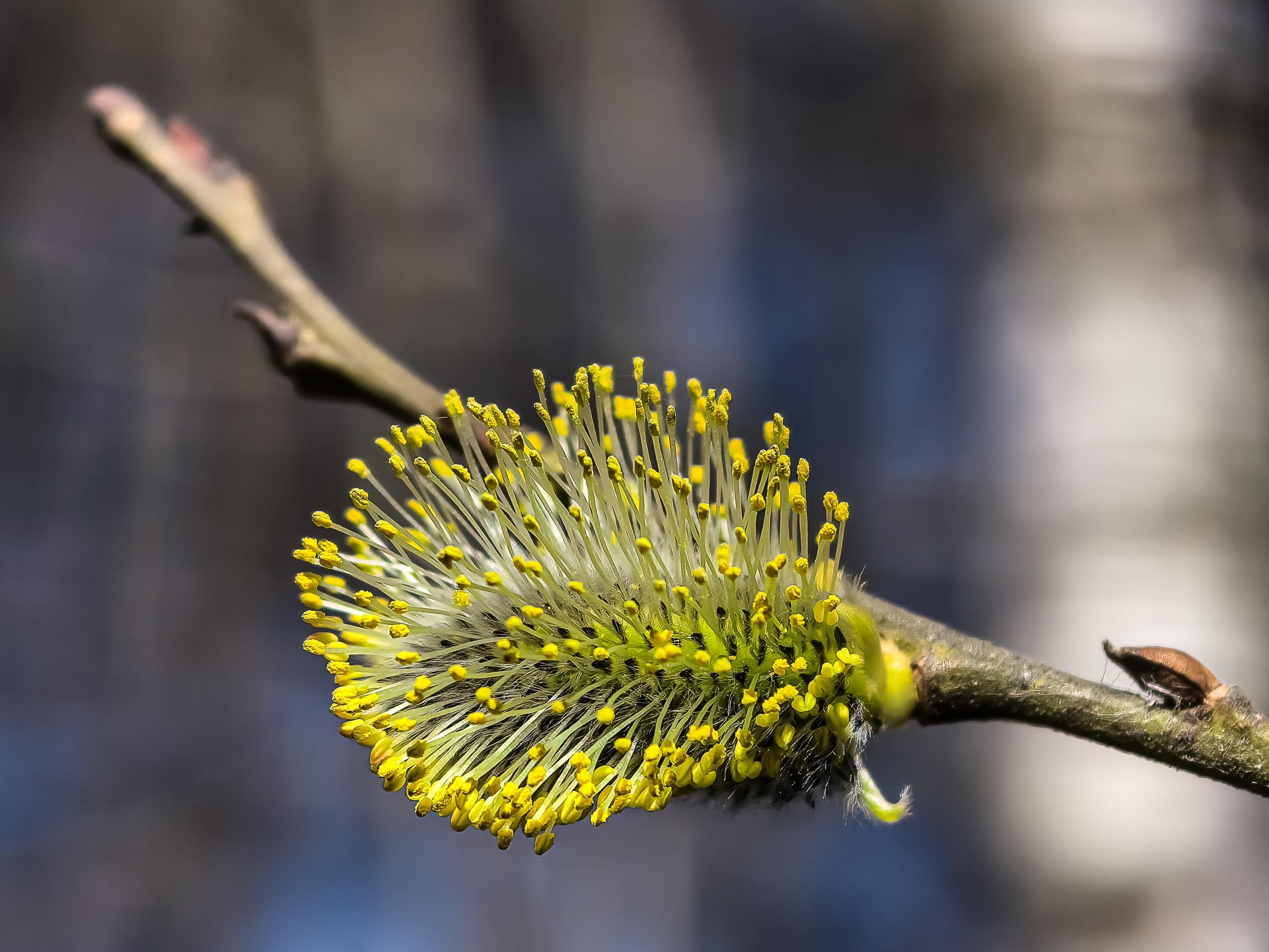 Прогноз погоды в Перми: дождь и снег ожидаются в выходные