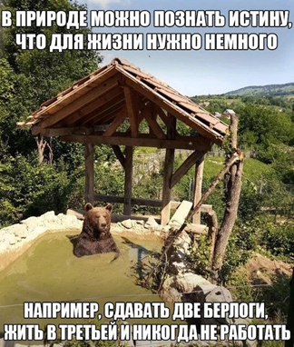 https://i1.imageban.ru/out/2026/04/26/b62210a0b33f2dcd5021c82984ebdea7.png