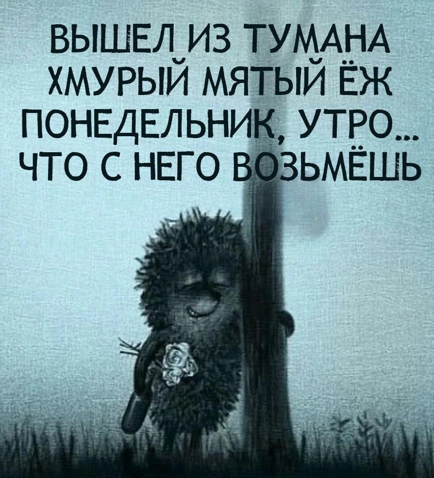 https://i1.imageban.ru/out/2026/04/27/3b09bf969f6b5cf895f595408d6da85c.jpeg