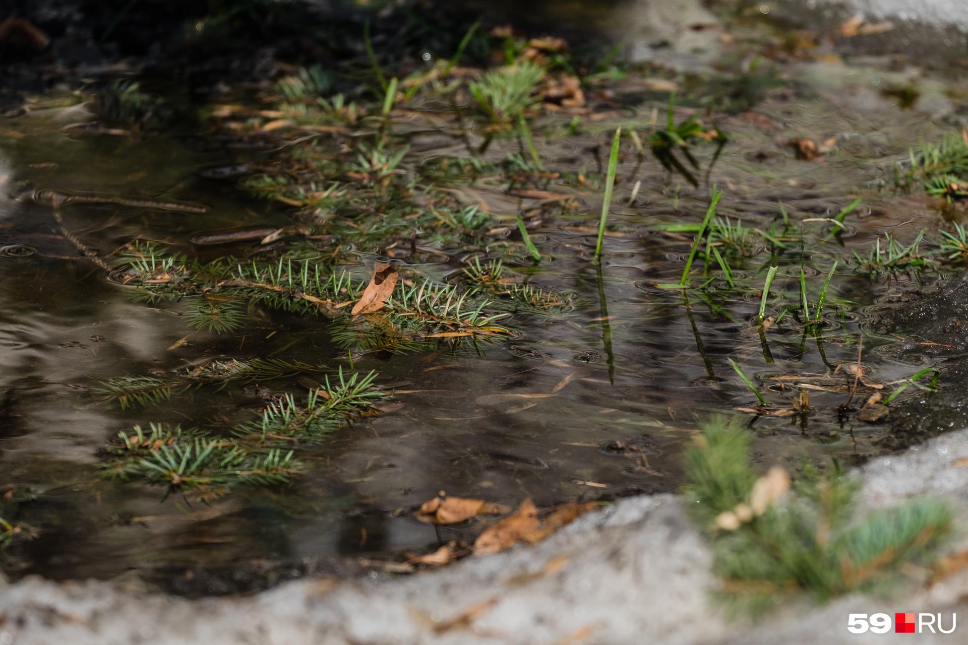 Прогноз погоды в Перми на майские праздники от Андрея Шихова