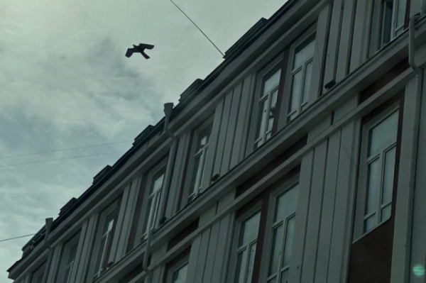 На здании мэрии Перми установили муляжи хищных птиц для отпугивания голубей