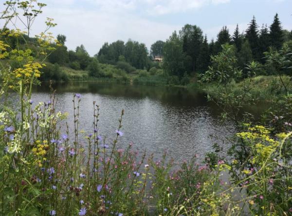 Субботник в Перми перенесли из-за беспилотника на промышленном объекте