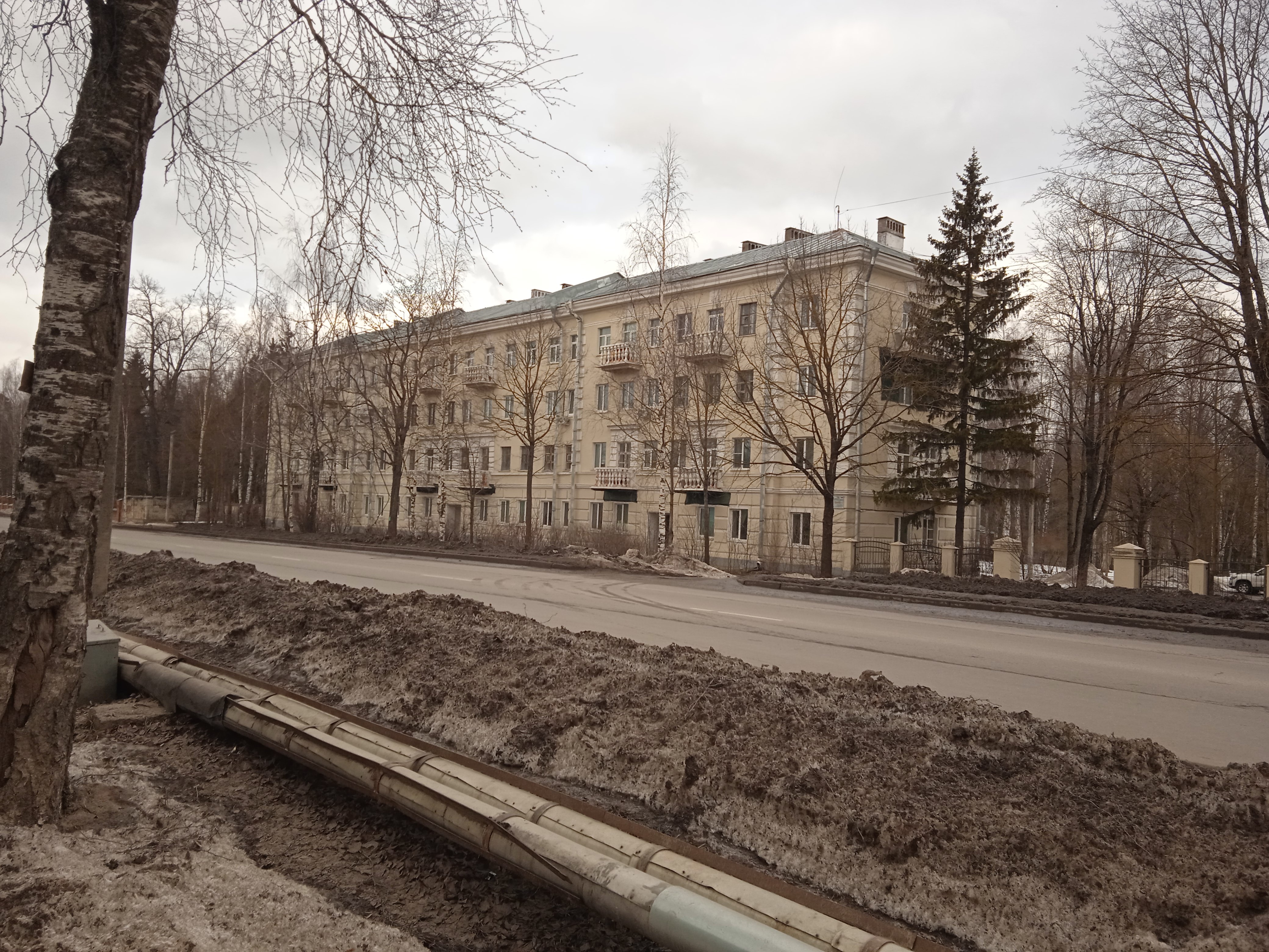 Гатчина, Красноармейский 19.JPG
