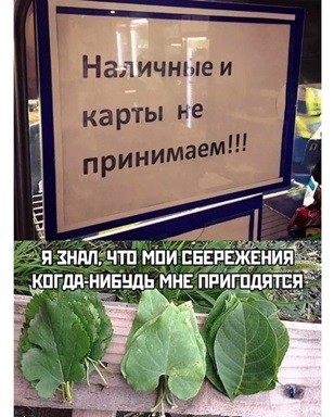 https://i1.imageban.ru/out/2026/05/01/ed0014fd05a83b4ee3d590ddfea0b35f.jpg