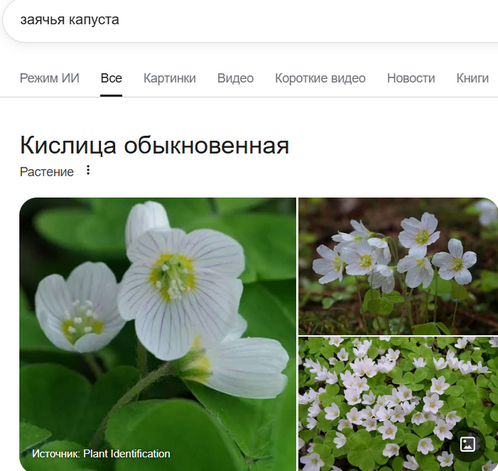 https://i1.imageban.ru/out/2026/05/02/4976a94e96445c6e8c3dcd9dc689ea8d.png