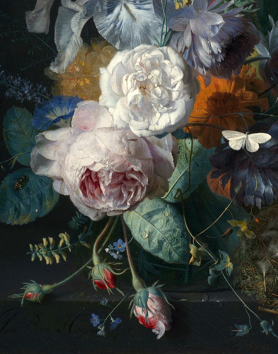 Jan_van_Huysum_-_Glass_Vase_with_Flowers, a_Poppy_and_a_Finch_Nest,_1720-21.jpg