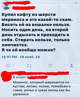 https://i1.imageban.ru/out/2026/05/09/3cba479570d34c6f715d4afe80009f11.jpg