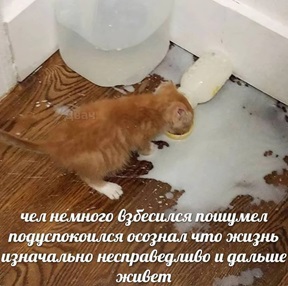 https://i1.imageban.ru/out/2026/05/09/402144ecf4755b1ce58d8e3657297667.jpg