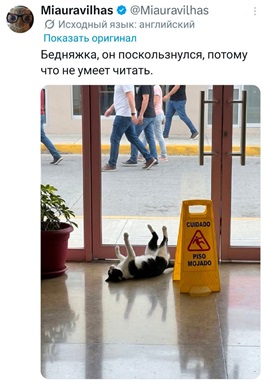 https://i1.imageban.ru/out/2026/05/09/a38d0da00544179729b9b19015c67d5b.jpg