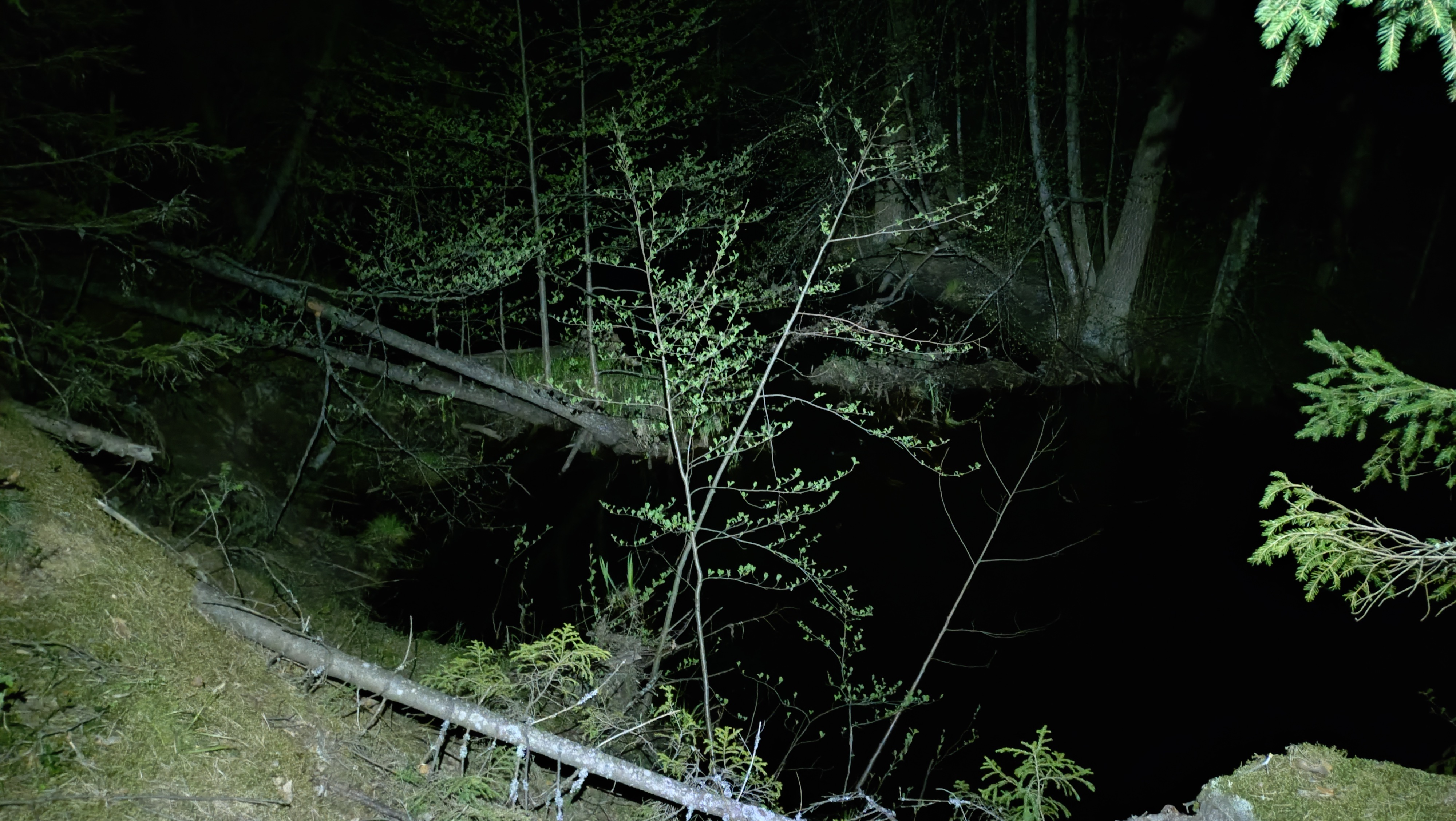 20260509_230514635.JPG