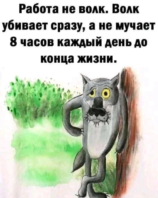 1000074055.jpg