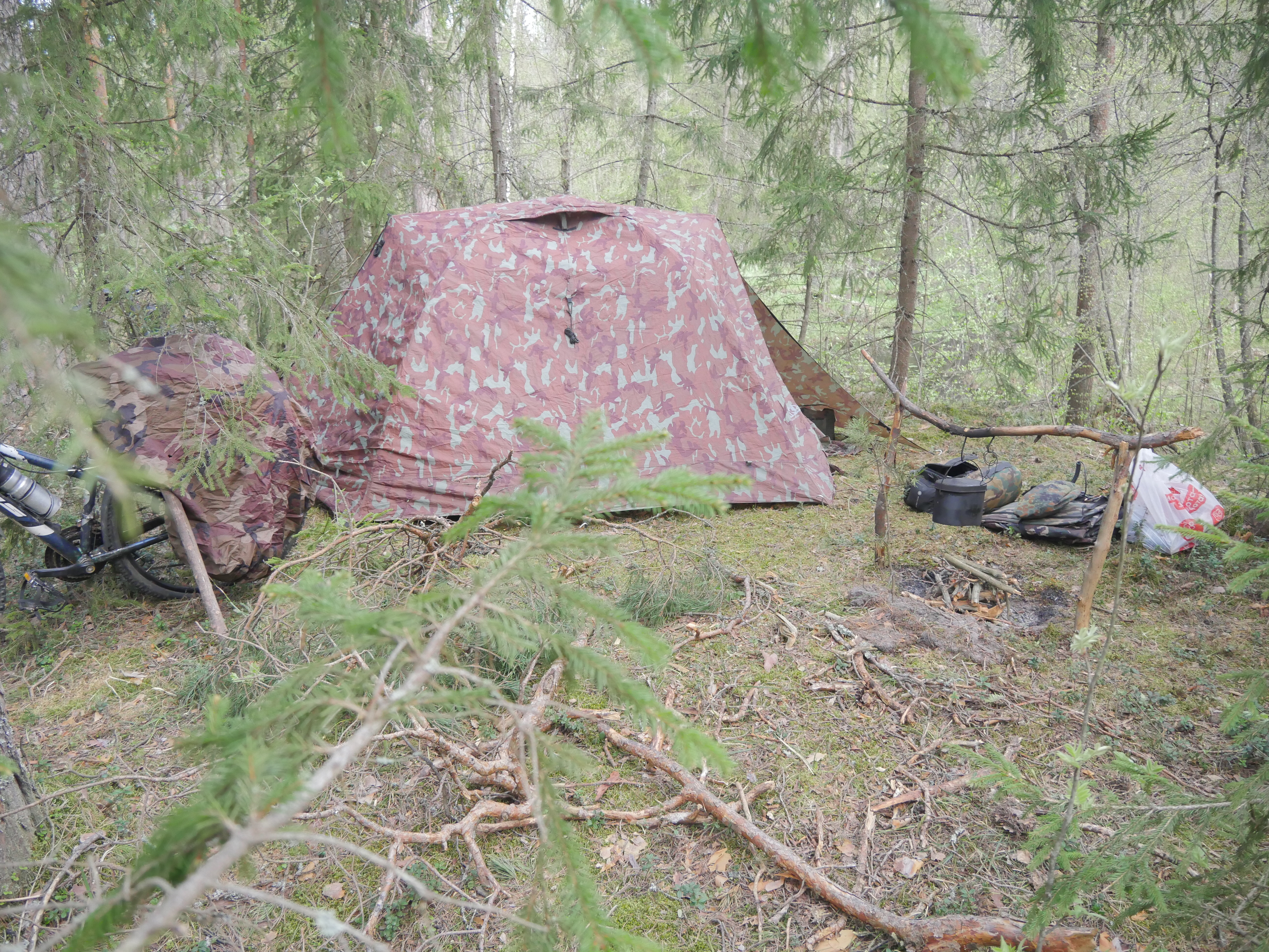 P1570013.JPG