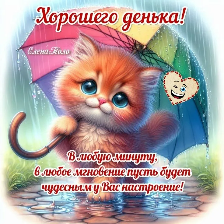 https://i1.imageban.ru/out/2026/05/14/7594055020eb0c7d7d3684aa021111ca.webp