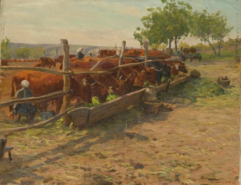 Волы.Украина.jpg