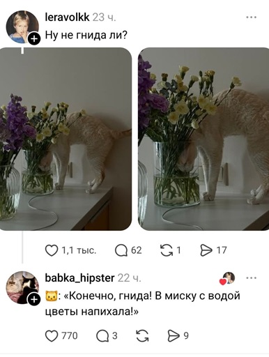 https://i1.imageban.ru/out/2026/05/16/82b5b69f888cb40e71442e80bf215c32.jpg
